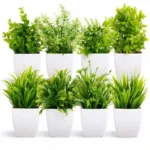 Collection of vibrant artificial plants